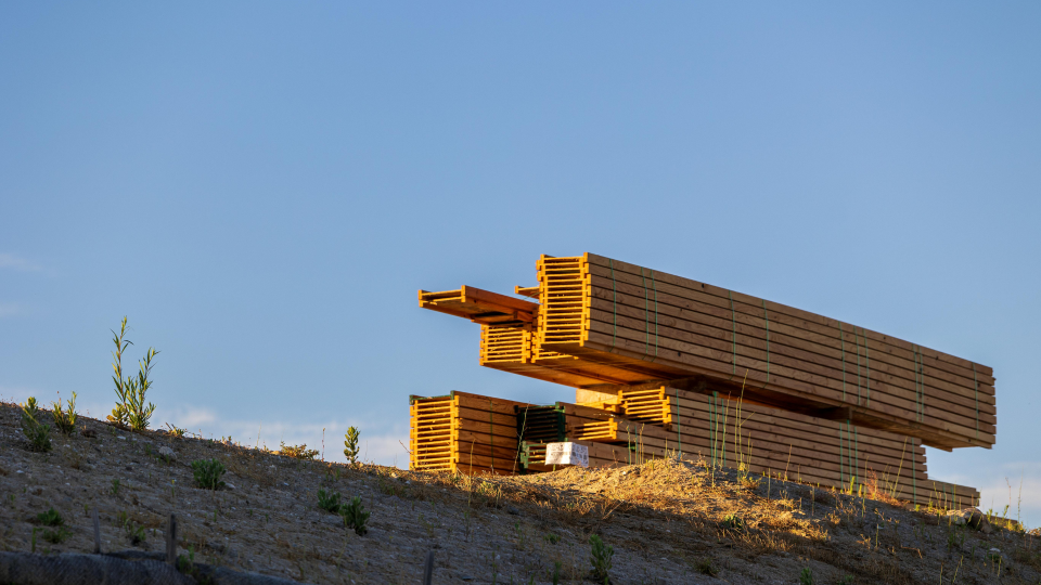 Wood bundled in stacks