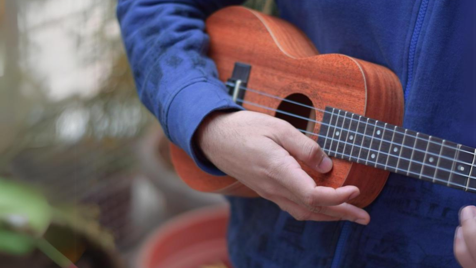 person playing brown ukulele