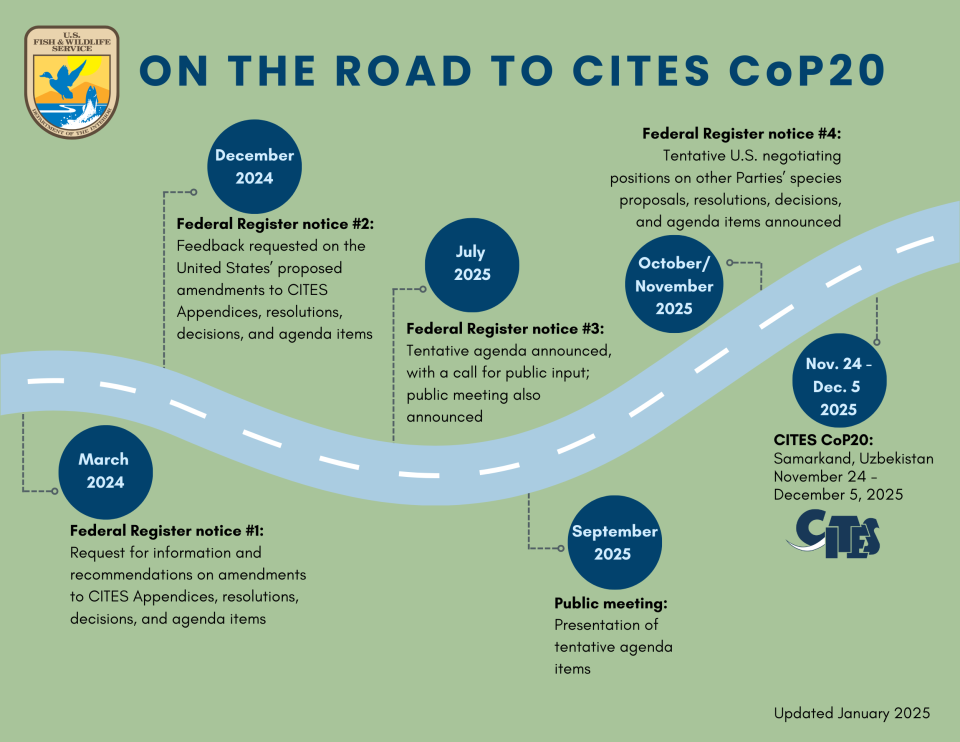 graphic showing milestones for cites